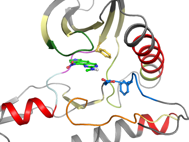 The orthosteric binding pocket