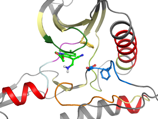The orthosteric binding pocket