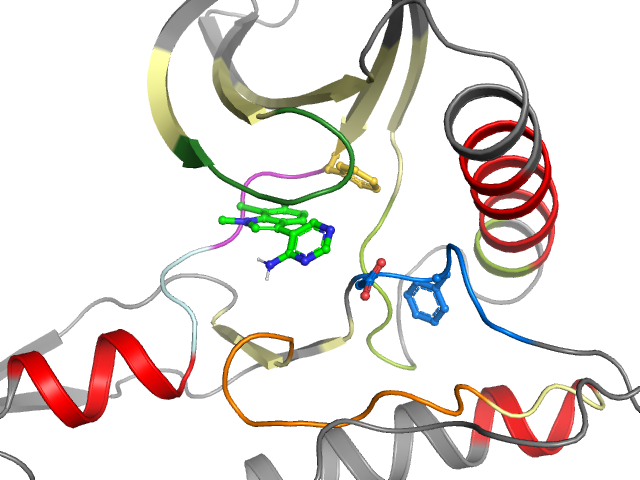The orthosteric binding pocket