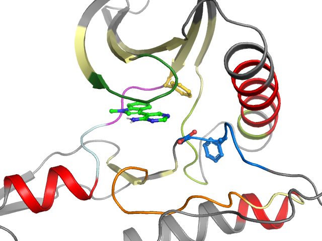 The orthosteric binding pocket