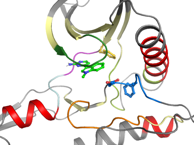 The orthosteric binding pocket