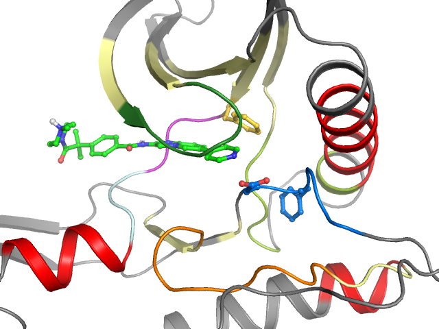 The orthosteric binding pocket