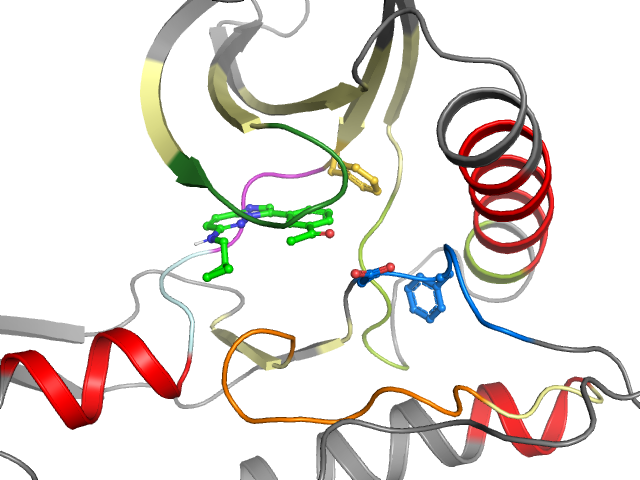 The orthosteric binding pocket