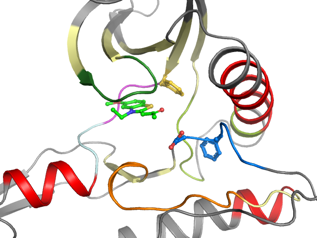 The orthosteric binding pocket