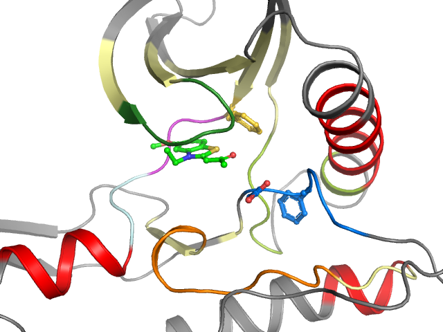 The orthosteric binding pocket