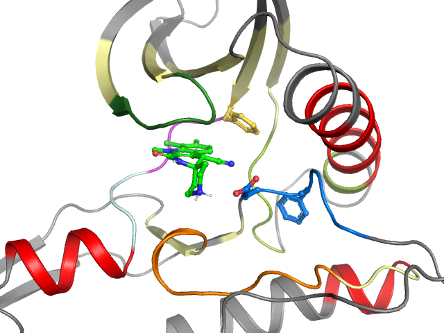 The orthosteric binding pocket