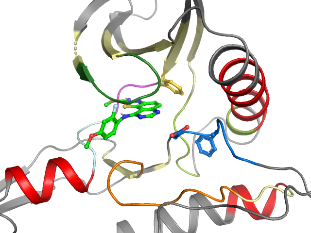 The orthosteric binding pocket