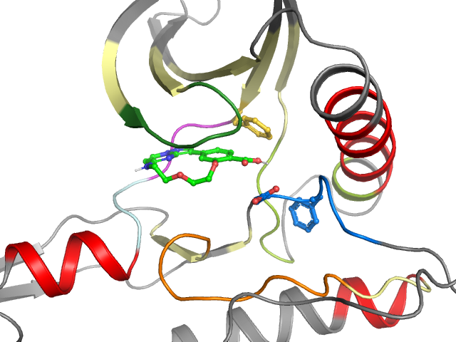 The orthosteric binding pocket