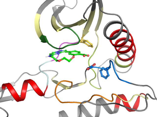 The orthosteric binding pocket