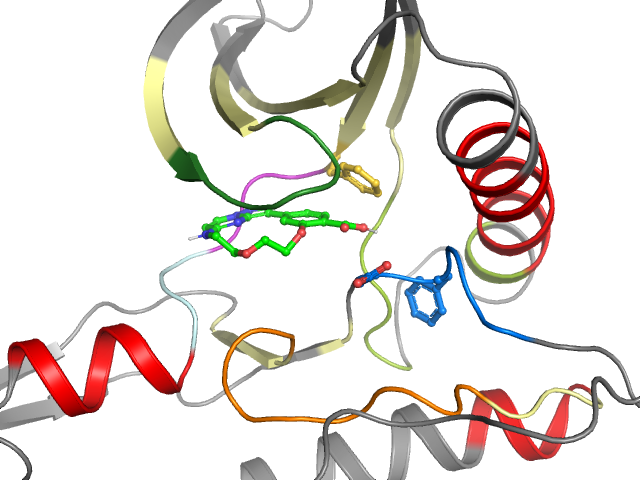 The orthosteric binding pocket