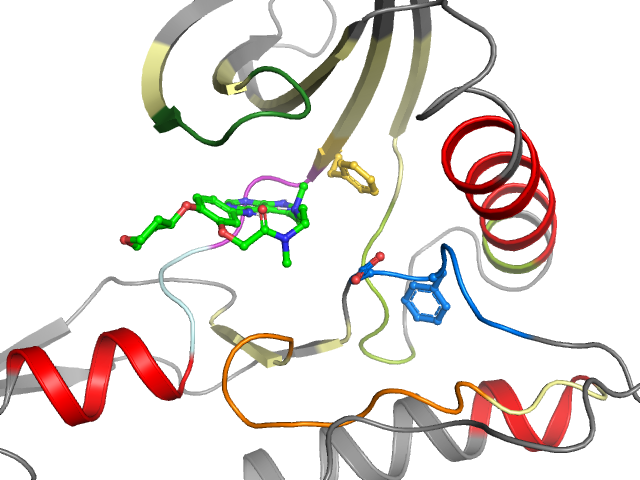 The orthosteric binding pocket