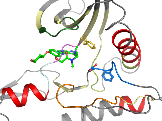 The orthosteric binding pocket