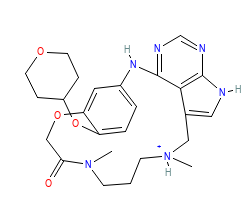 2D structure of the orthosteric ligand