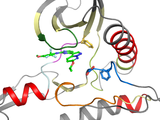 The orthosteric binding pocket