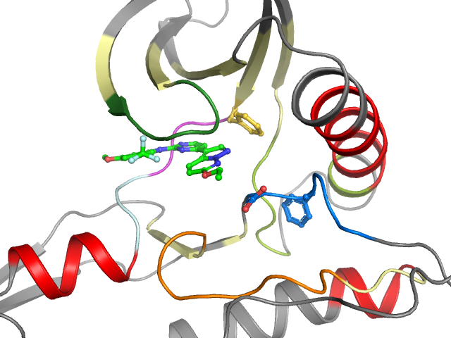 The orthosteric binding pocket