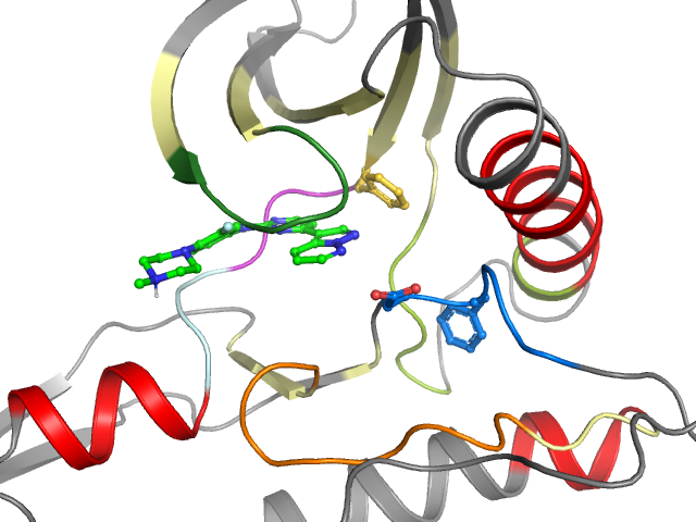 The orthosteric binding pocket