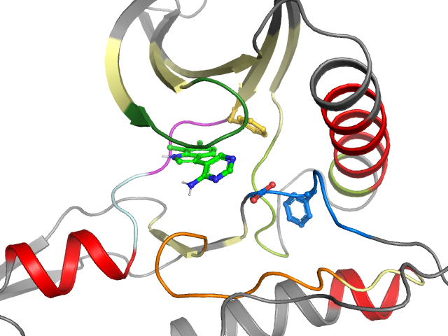 The orthosteric binding pocket