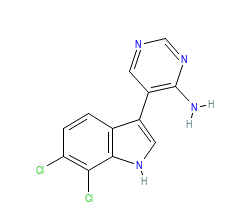 2D structure of the orthosteric ligand