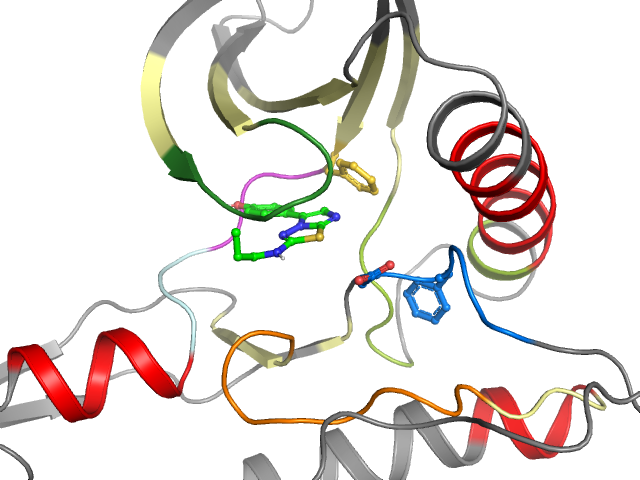 The orthosteric binding pocket