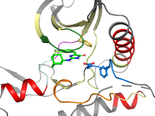 The orthosteric binding pocket