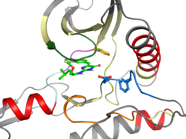 The orthosteric binding pocket