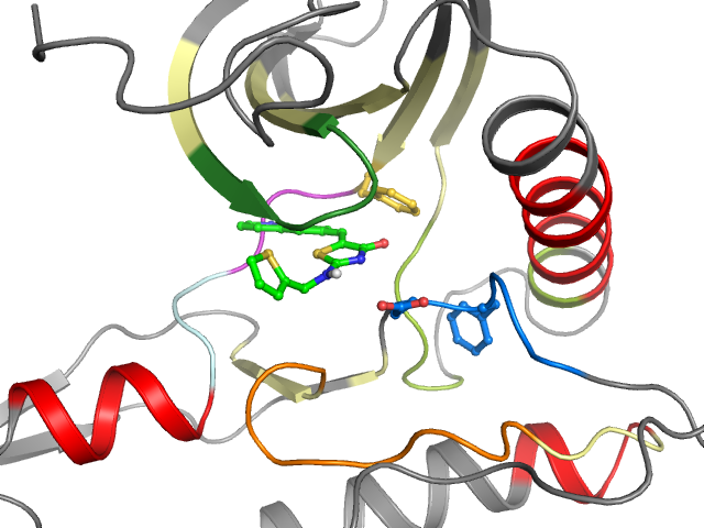 The orthosteric binding pocket