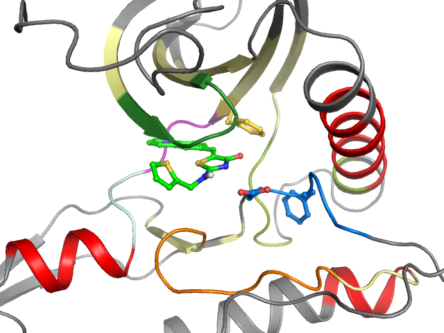 The orthosteric binding pocket