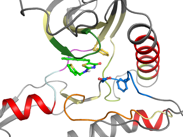 The orthosteric binding pocket
