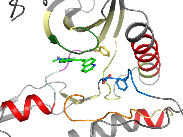 The orthosteric binding pocket