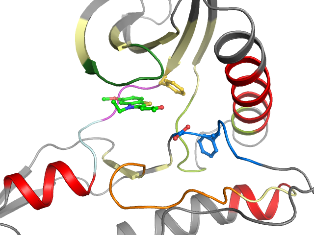The orthosteric binding pocket