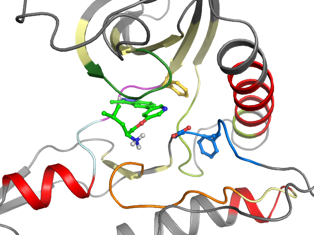 The orthosteric binding pocket
