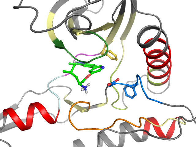 The orthosteric binding pocket