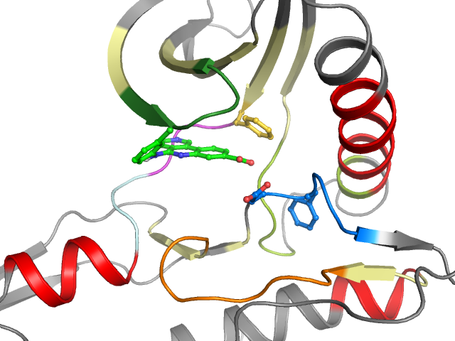 The orthosteric binding pocket