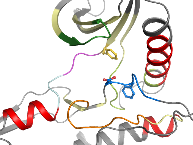 The orthosteric binding pocket