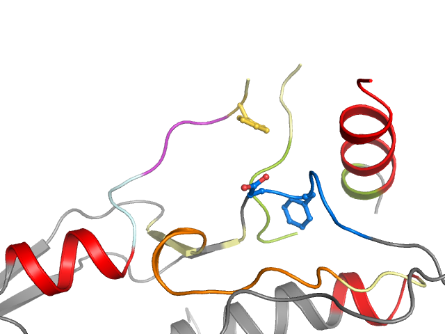 The orthosteric binding pocket