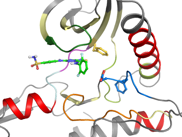 The orthosteric binding pocket
