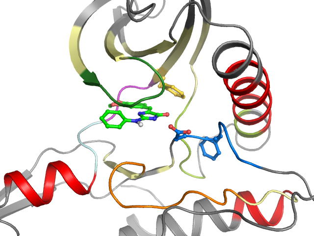 The orthosteric binding pocket