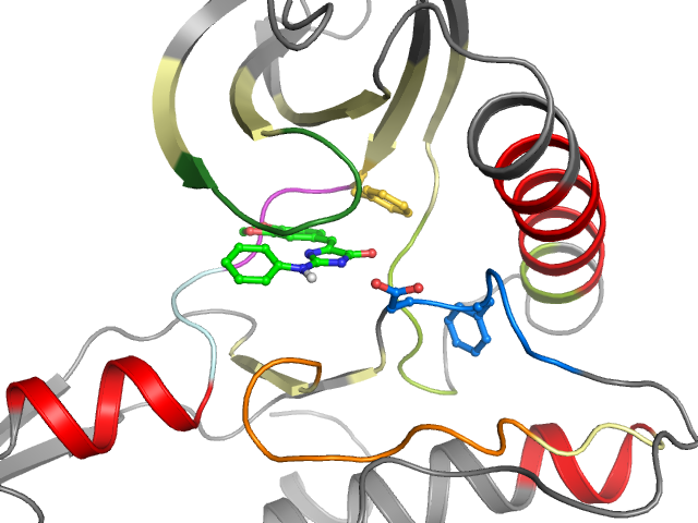 The orthosteric binding pocket