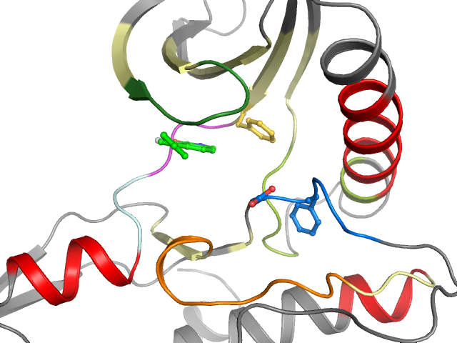 The orthosteric binding pocket