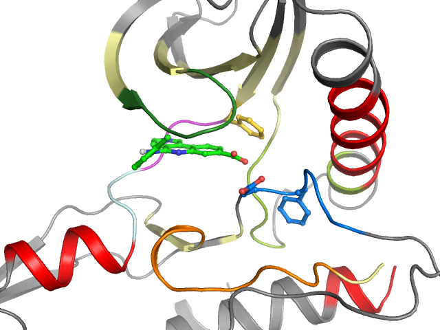 The orthosteric binding pocket