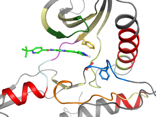 The orthosteric binding pocket