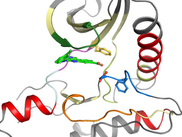 The orthosteric binding pocket