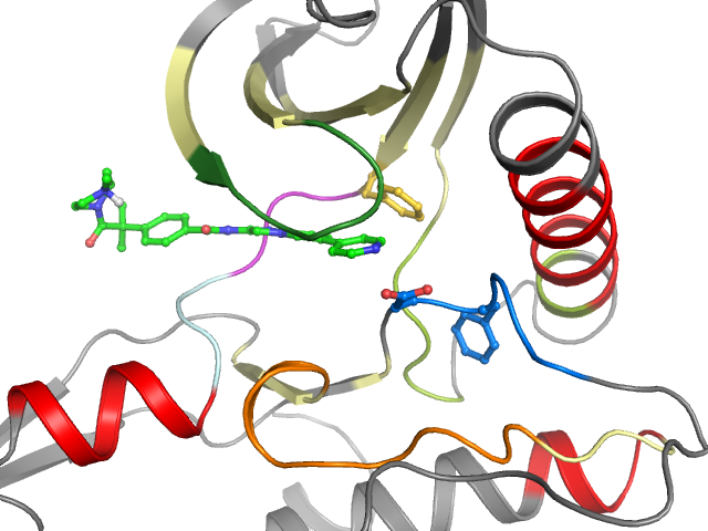 The orthosteric binding pocket