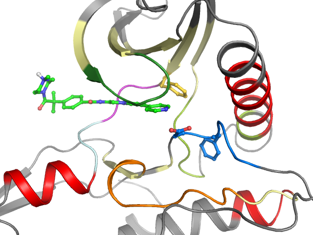 The orthosteric binding pocket