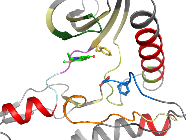 The orthosteric binding pocket