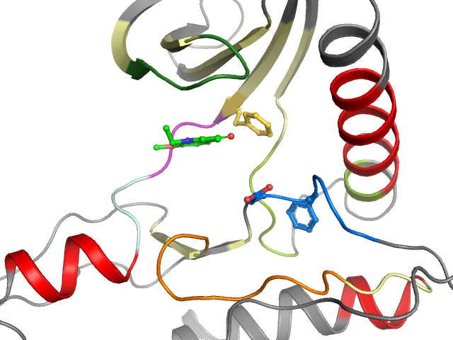 The orthosteric binding pocket
