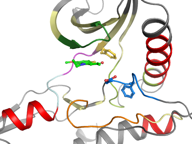 The orthosteric binding pocket