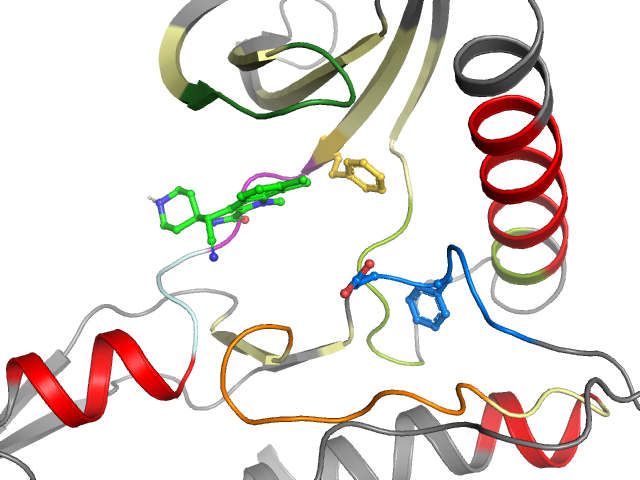 The orthosteric binding pocket