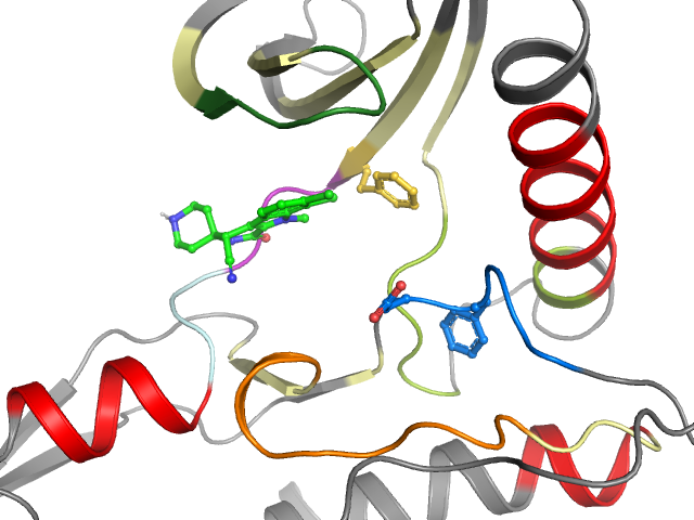 The orthosteric binding pocket