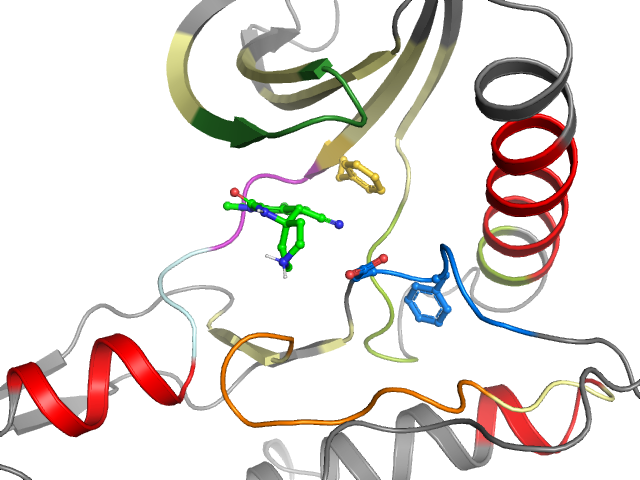 The orthosteric binding pocket
